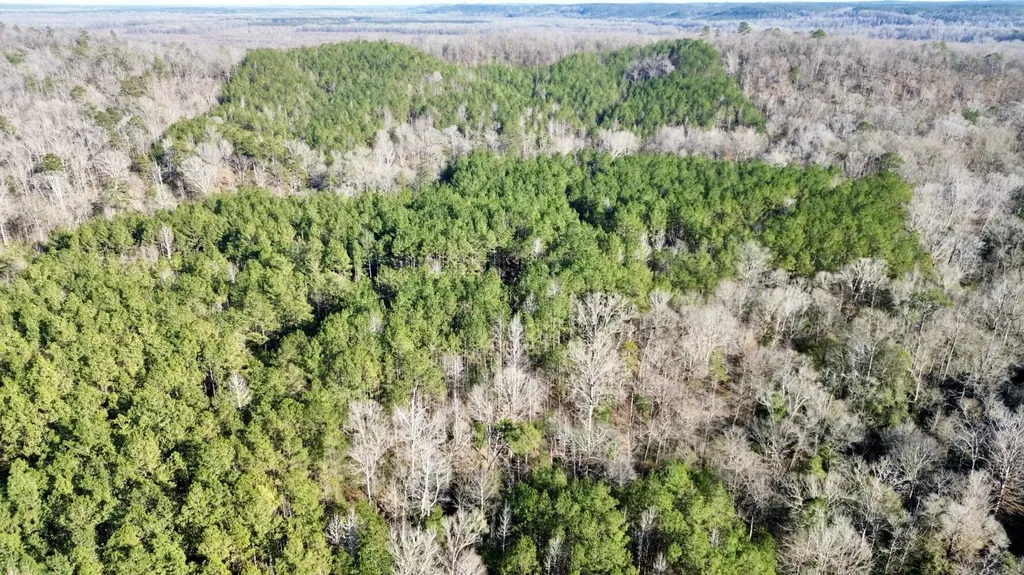 0 Ararat Road Tract B Toxey AL 36921