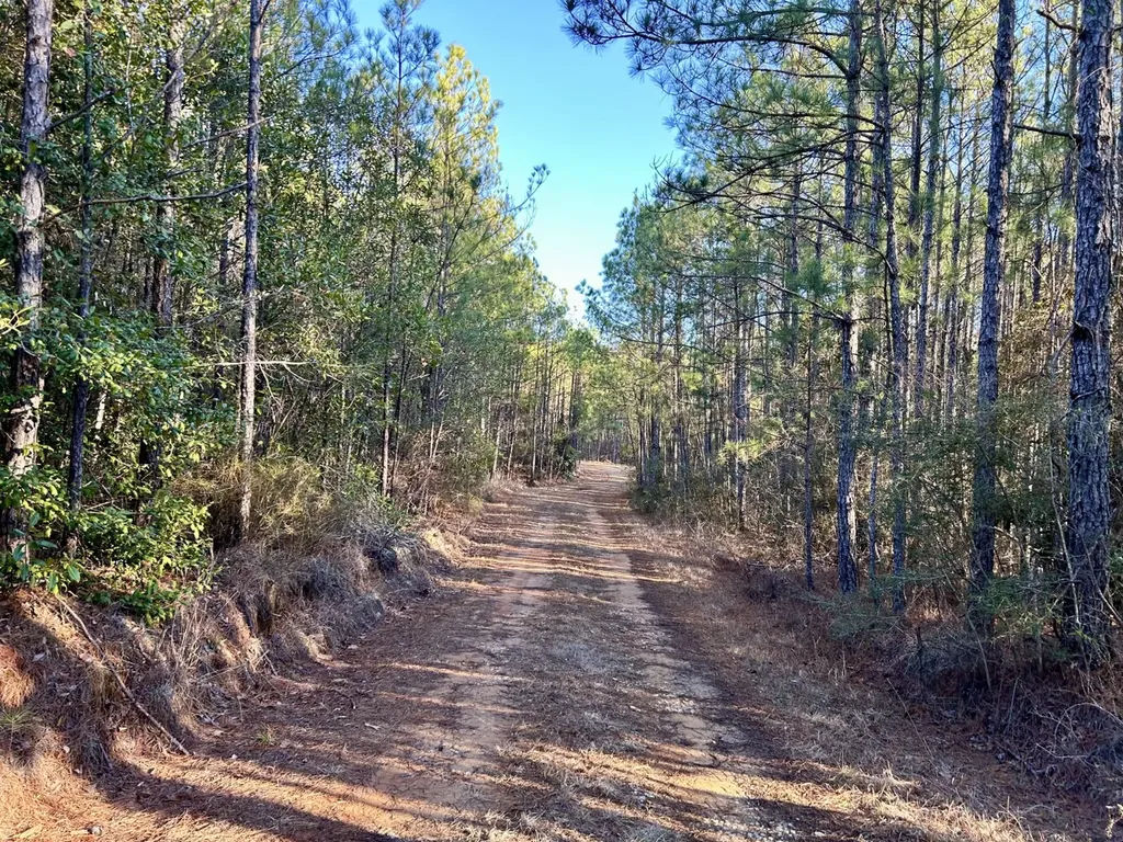 0 Ararat Road Tract C Toxey AL 36921