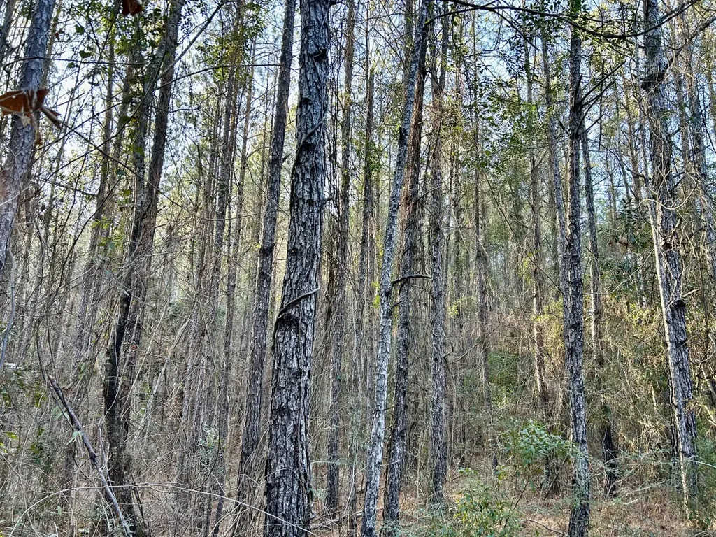0 Ararat Road Tract C Toxey AL 36921