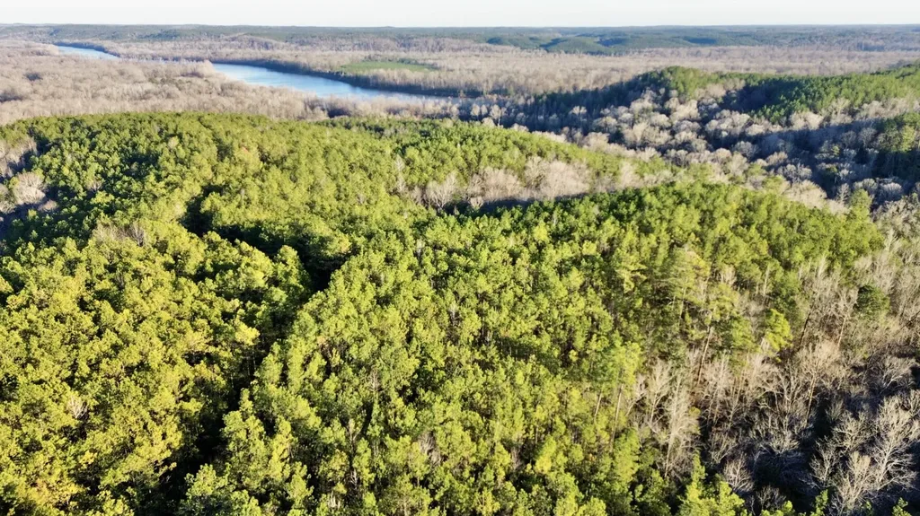0 Ararat Road Tract C Toxey AL 36921