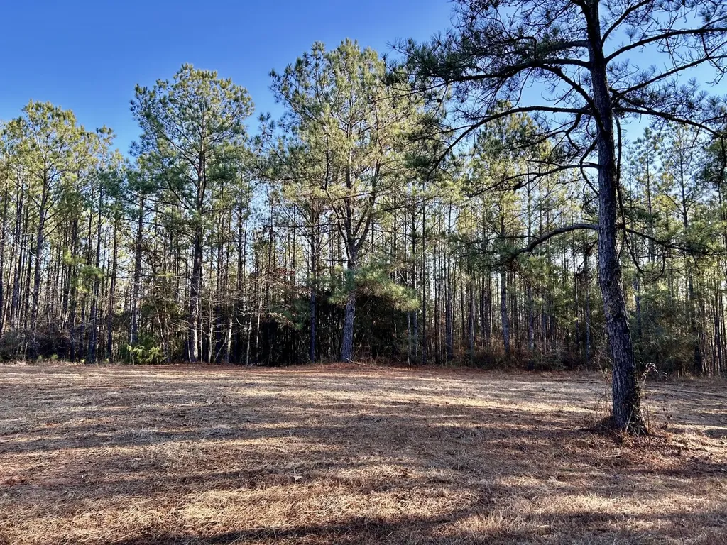 0 Ararat Road Tract C Toxey AL 36921