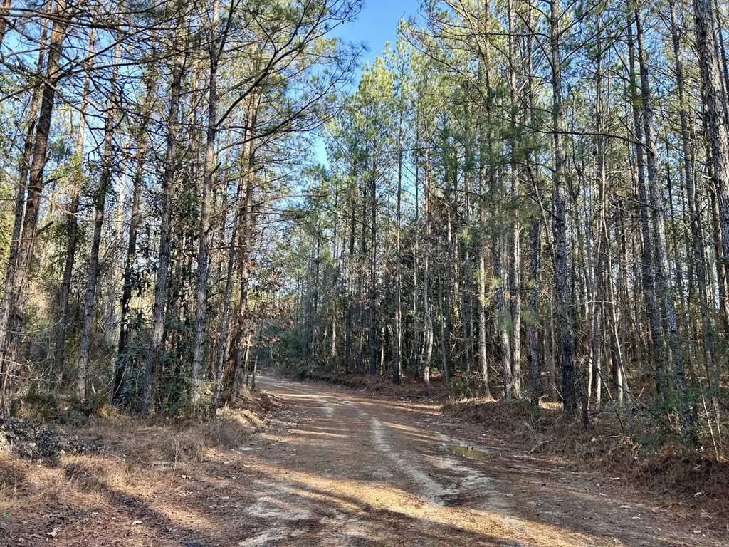 0 Ararat Road Tract C Toxey AL 36921