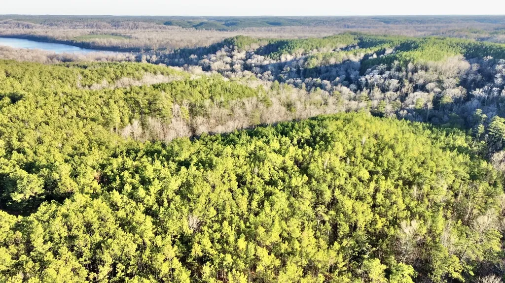 0 Ararat Road Tract C Toxey AL 36921