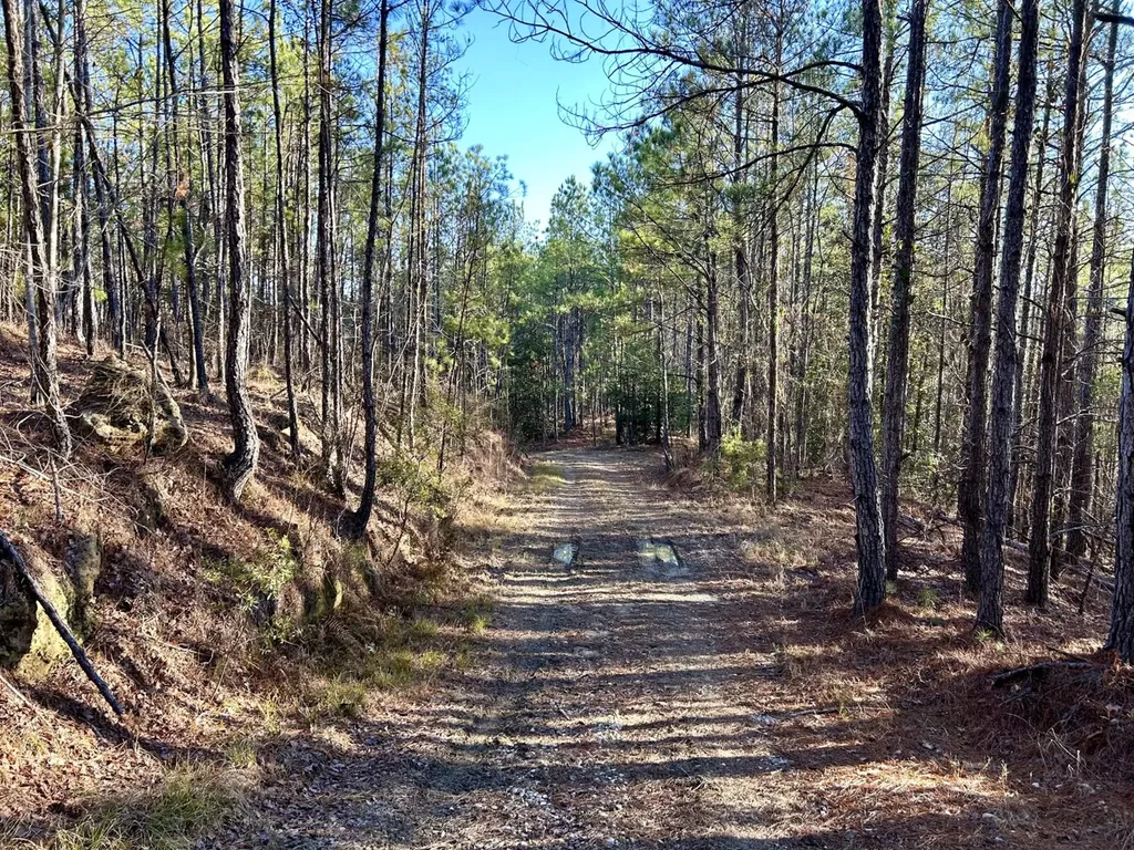 0 Ararat Road Tract C Toxey AL 36921