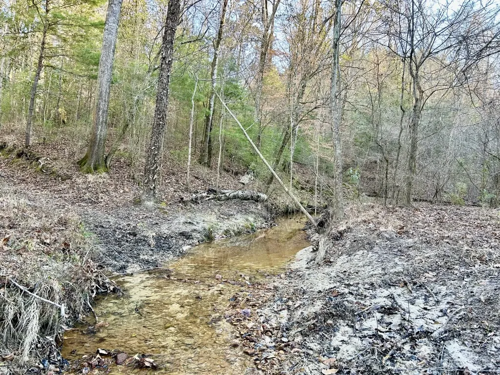0 Ararat Road Tract C Toxey AL 36921