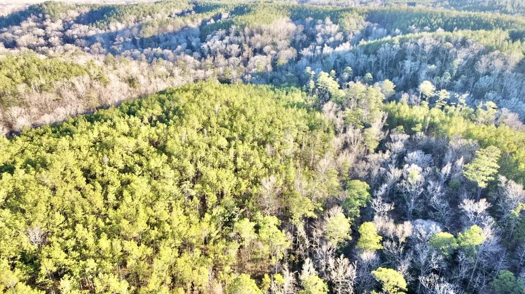 0 Ararat Road Tract C Toxey AL 36921