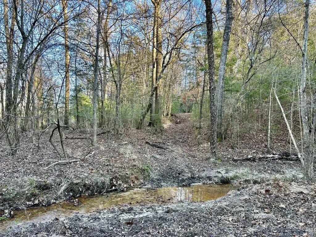 0 Ararat Road Tract C Toxey AL 36921