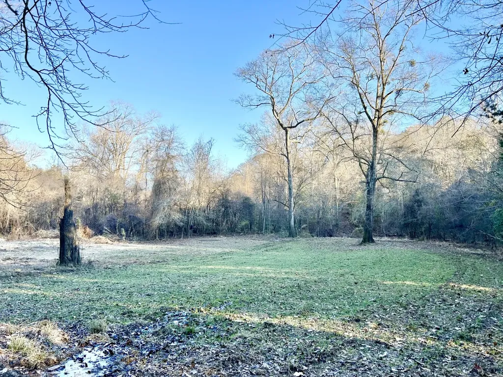0 Ararat Road Tract C Toxey AL 36921