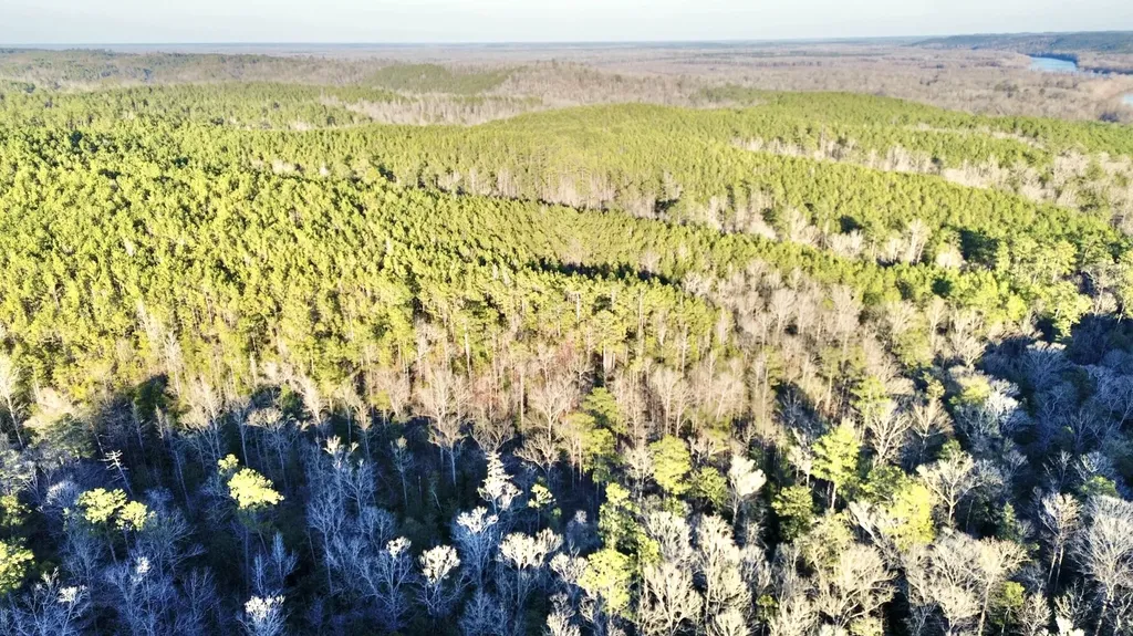 0 Ararat Road Tract C Toxey AL 36921