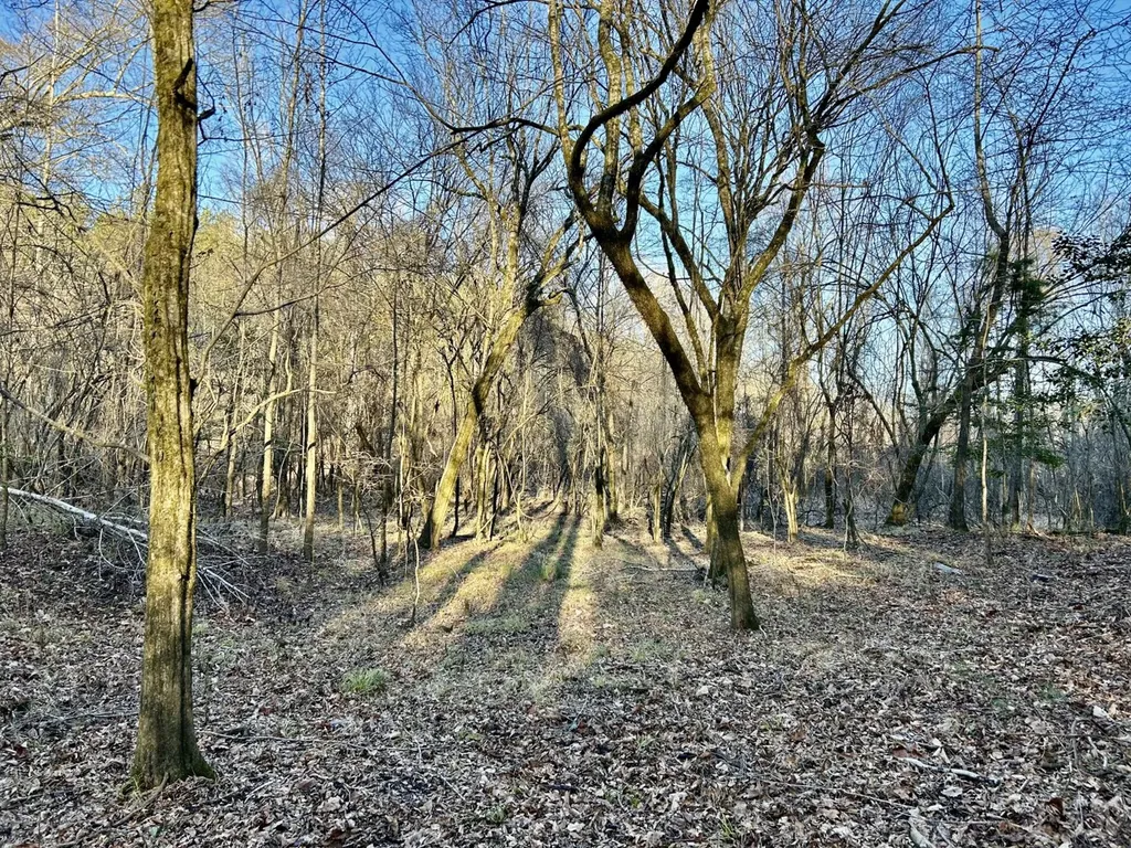 0 Ararat Road Tract C Toxey AL 36921