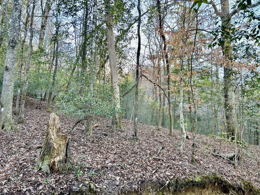0 Ararat Road Tract C Toxey AL 36921