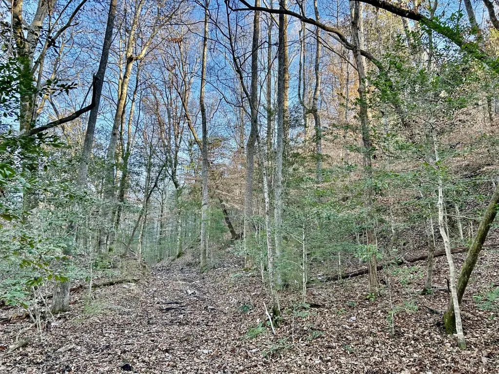 0 Ararat Road Tract C Toxey AL 36921
