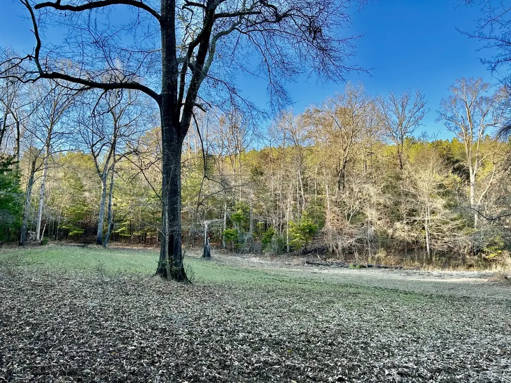 0 Ararat Road Tract C Toxey AL 36921