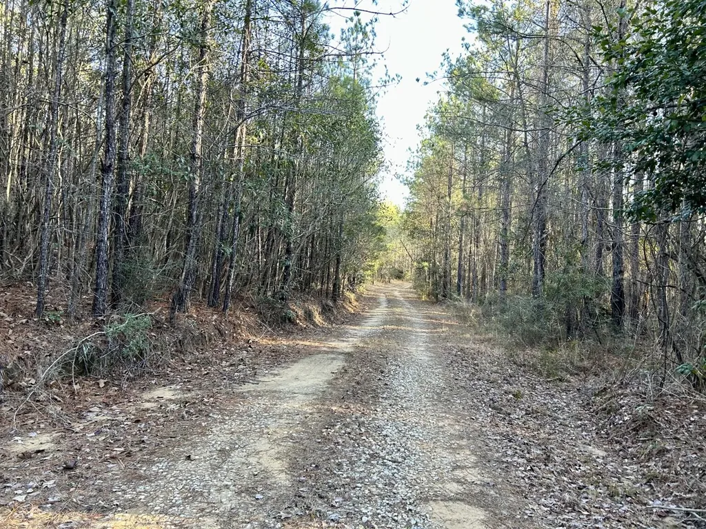 0 Ararat Road Tract C Toxey AL 36921