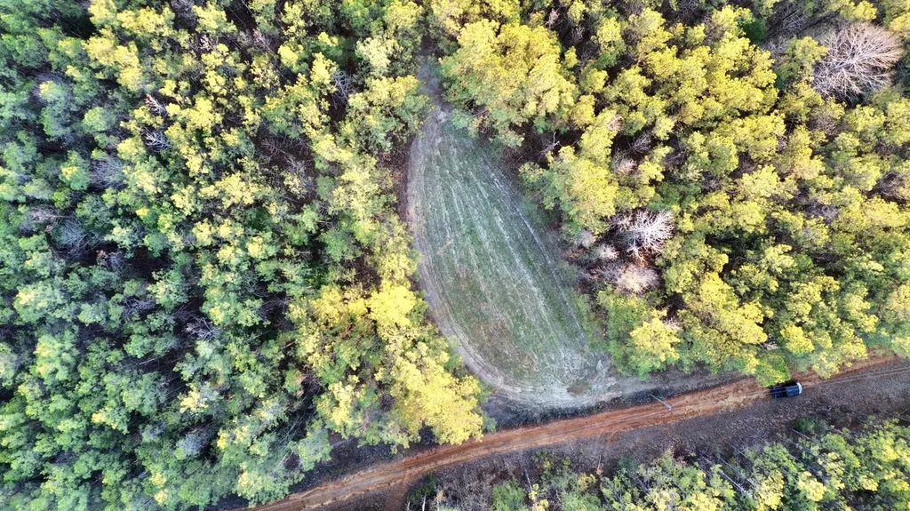 0 Ararat Road Tract C Toxey AL 36921
