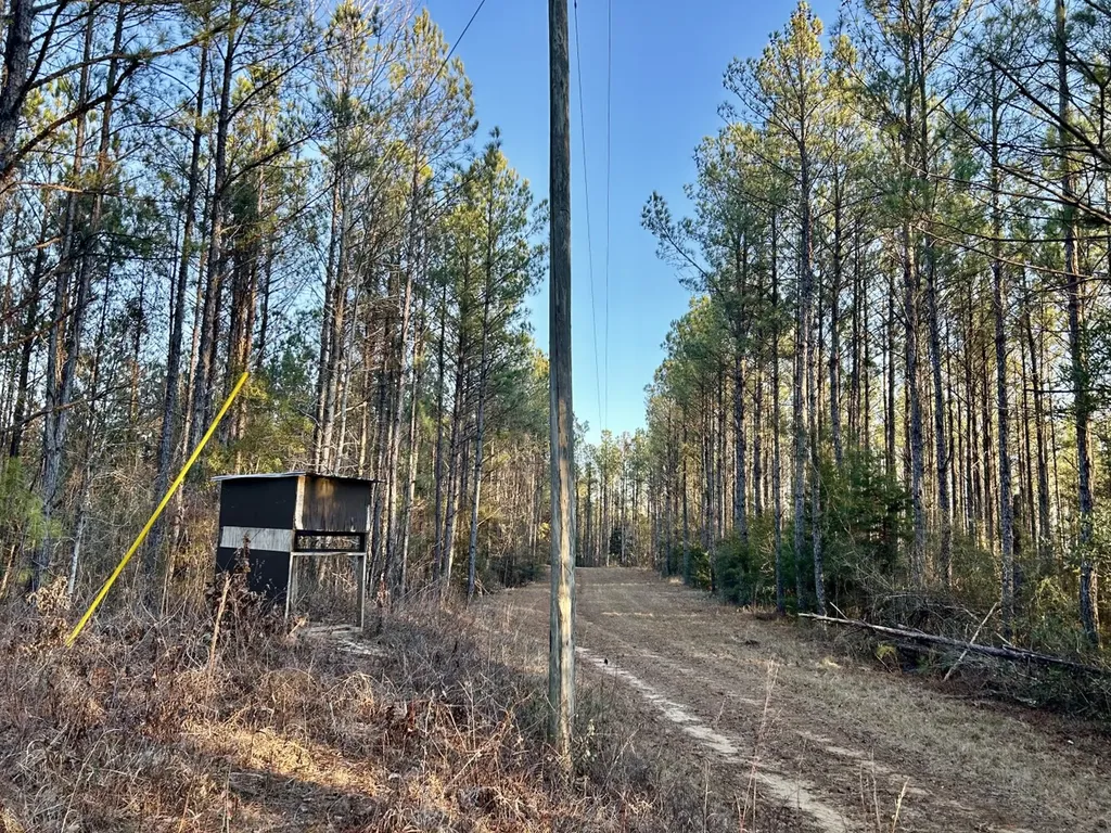 0 Ararat Road Tract C Toxey AL 36921
