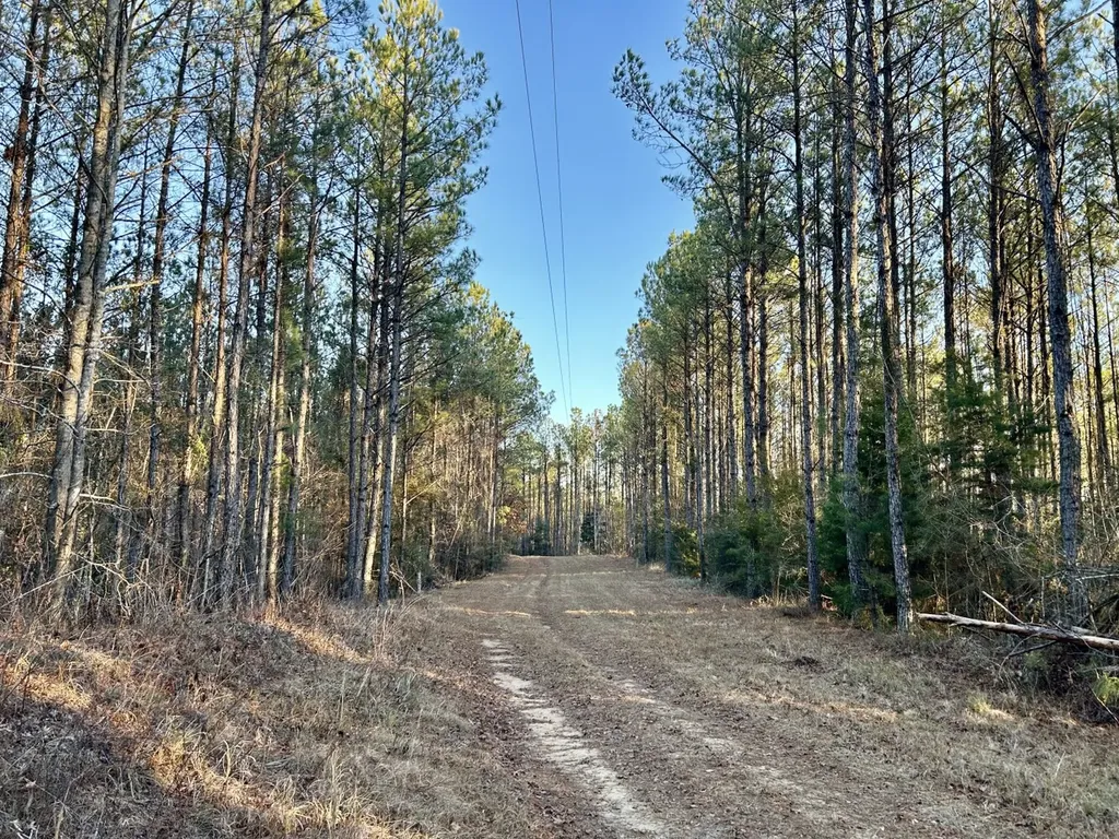0 Ararat Road Tract C Toxey AL 36921