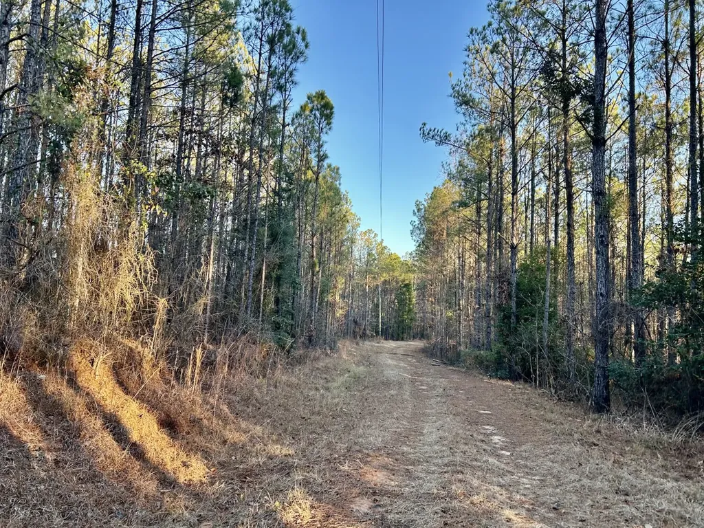 0 Ararat Road Tract C Toxey AL 36921