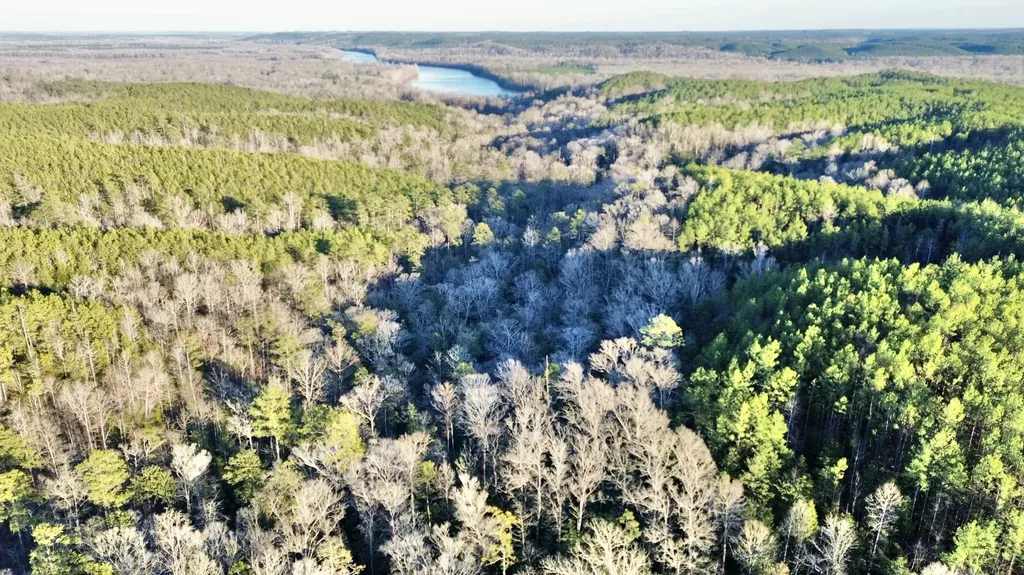 0 Ararat Road Tract C Toxey AL 36921