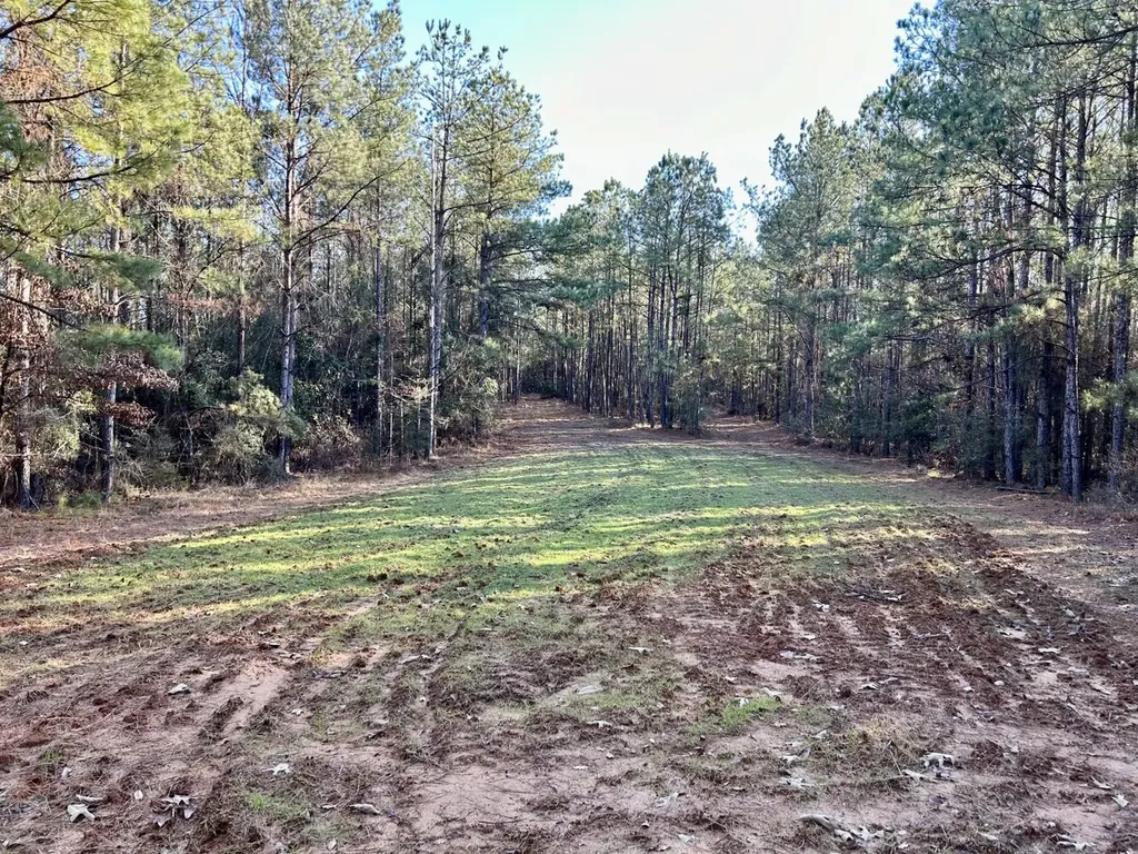 0 Ararat Road Tract C Toxey AL 36921