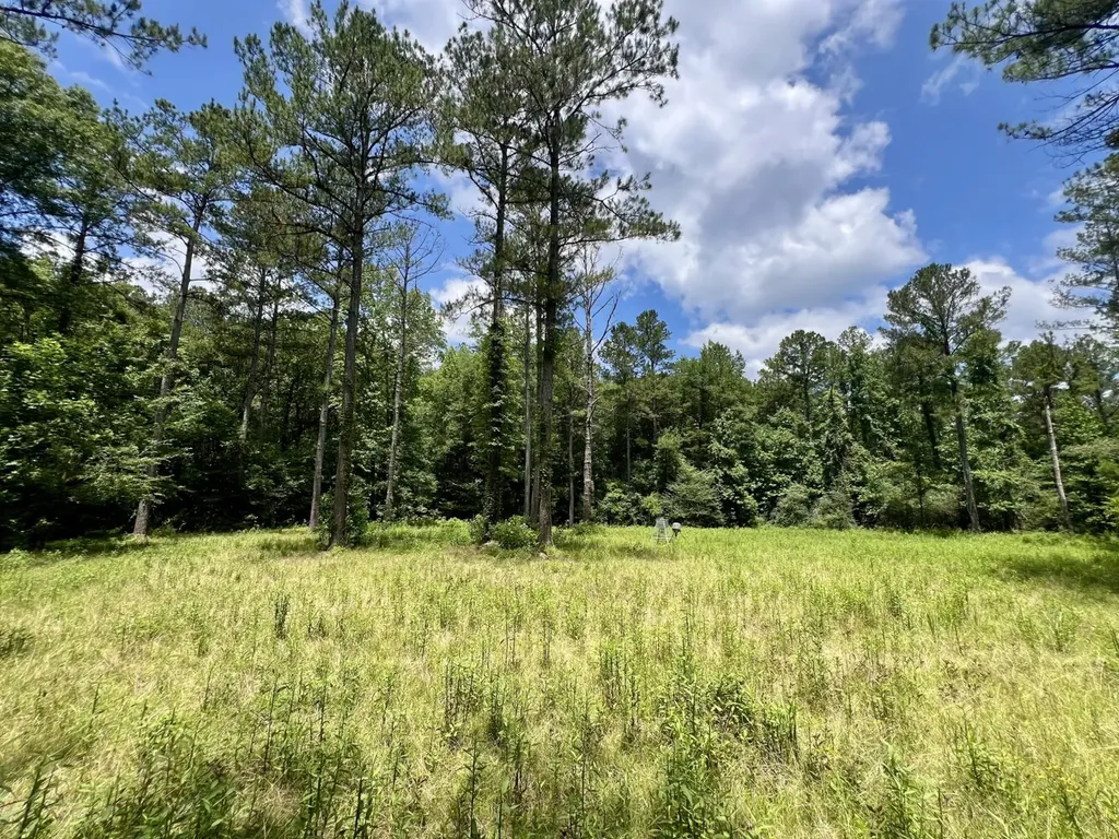0 County Road 42 Tunnel Springs AL 36471