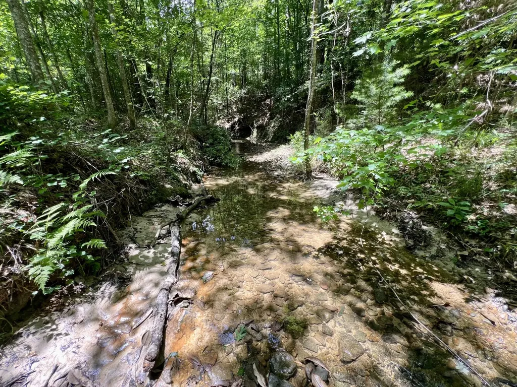 0 County Road 42 Tunnel Springs AL 36471