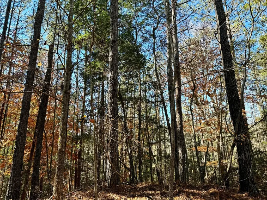 0 County Road 42 Tunnel Springs AL 36471
