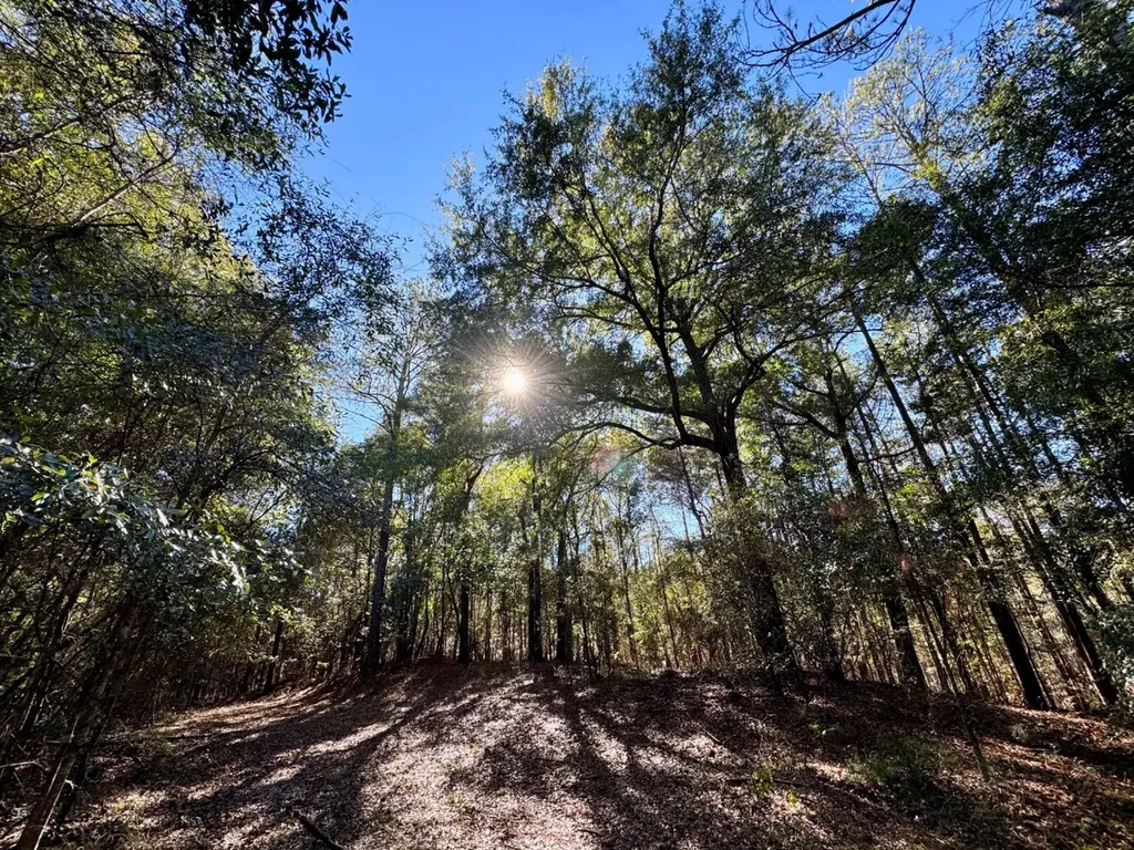 0 County Road 42 Tunnel Springs AL 36471