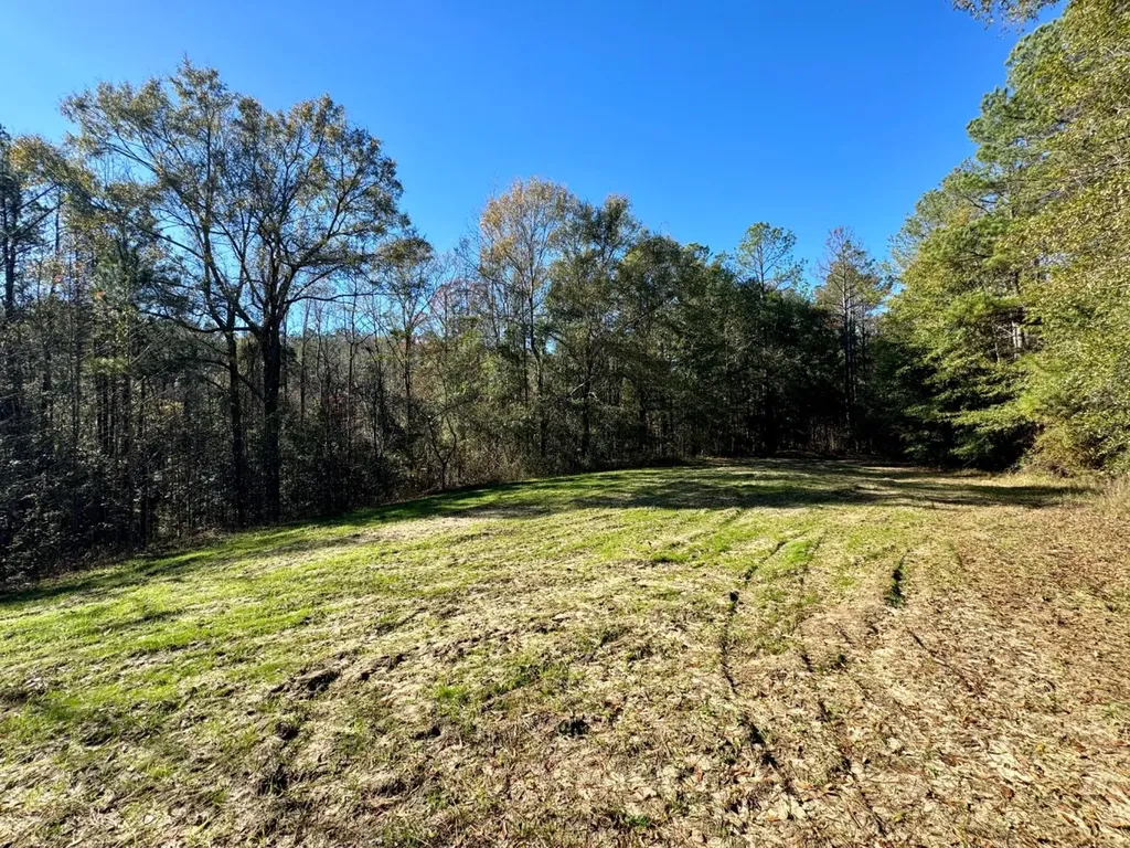 0 County Road 42 Tunnel Springs AL 36471