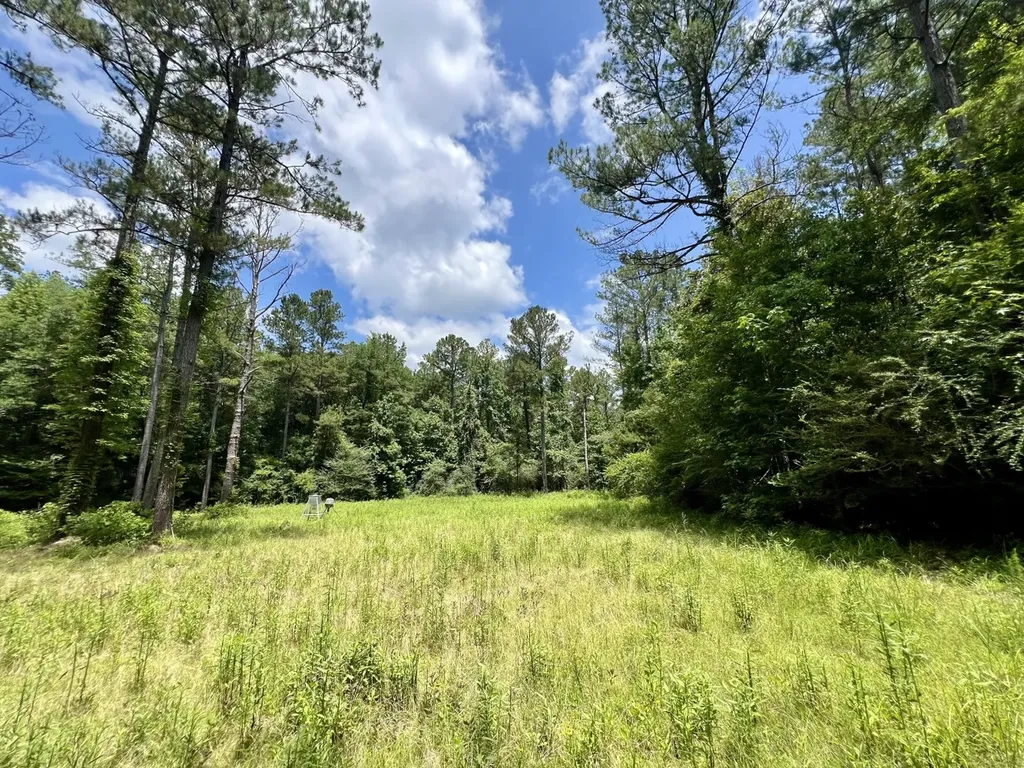 0 County Road 42 Tunnel Springs AL 36471