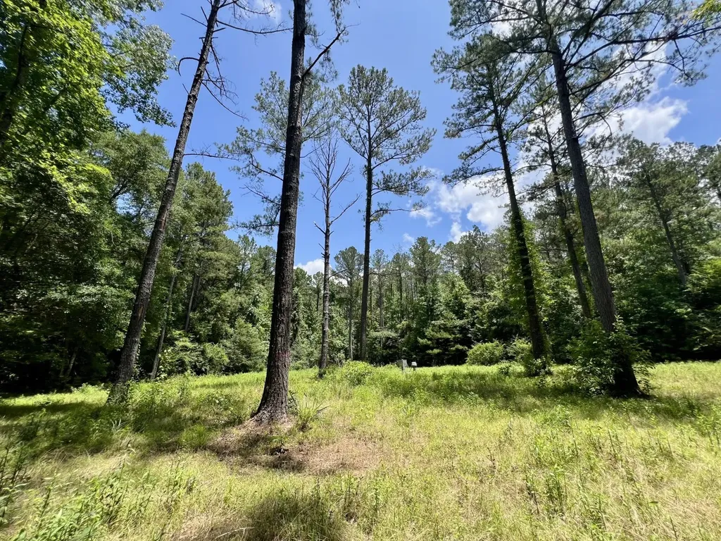 0 County Road 42 Tunnel Springs AL 36471