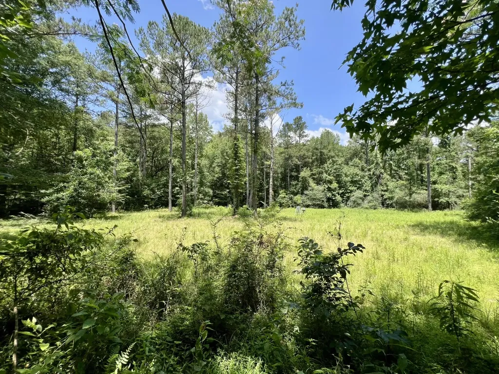 0 County Road 42 Tunnel Springs AL 36471