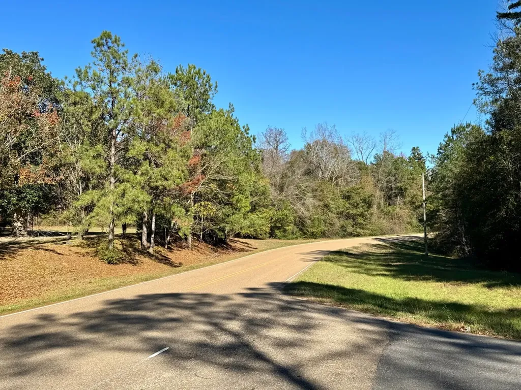 0 County Road 42 Tunnel Springs AL 36471