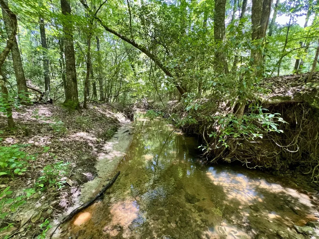 0 County Road 42 Tunnel Springs AL 36471