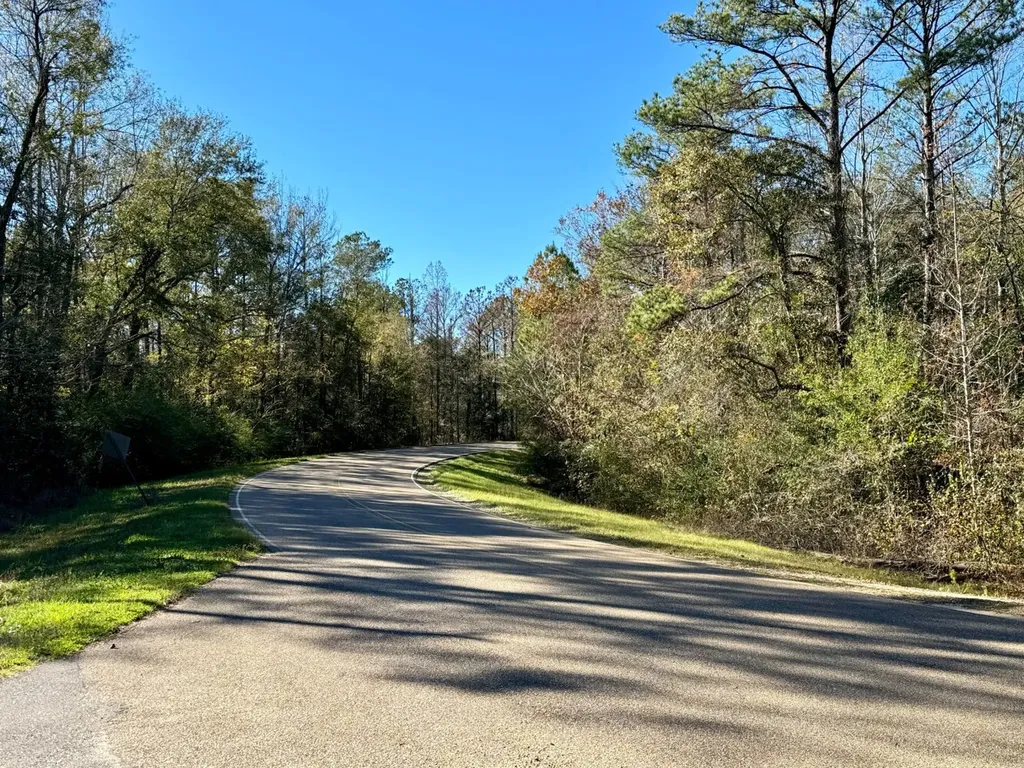 0 County Road 42 Tunnel Springs AL 36471