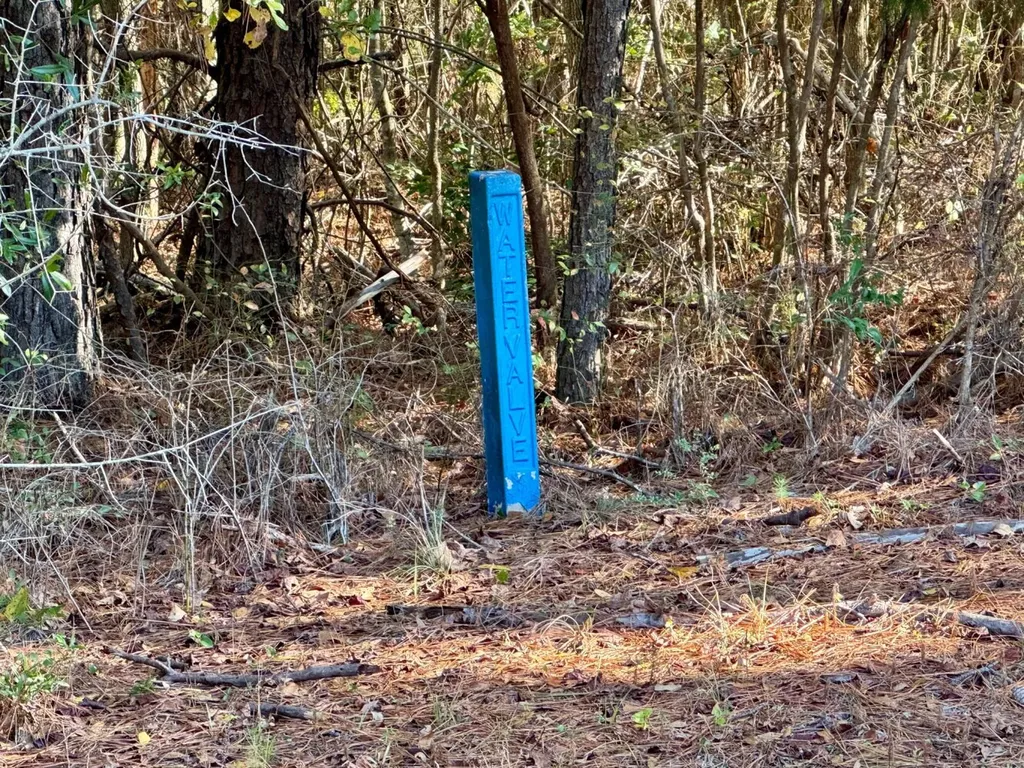 0 County Road 42 Tunnel Springs AL 36471