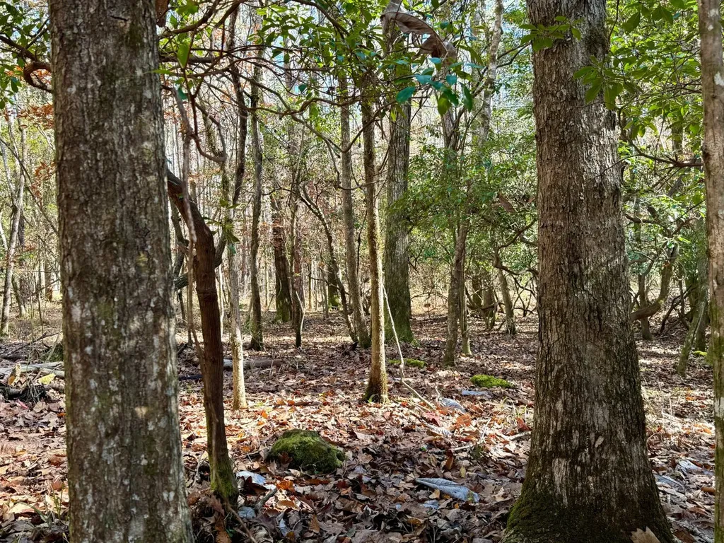 0 County Road 42 Tunnel Springs AL 36471