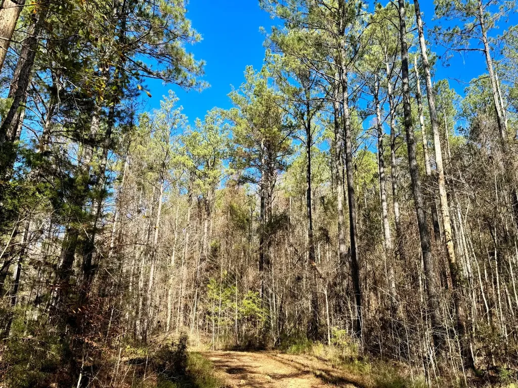 0 County Road 42 Tunnel Springs AL 36471
