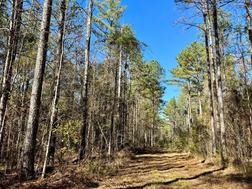 0 County Road 42 Tunnel Springs AL 36471