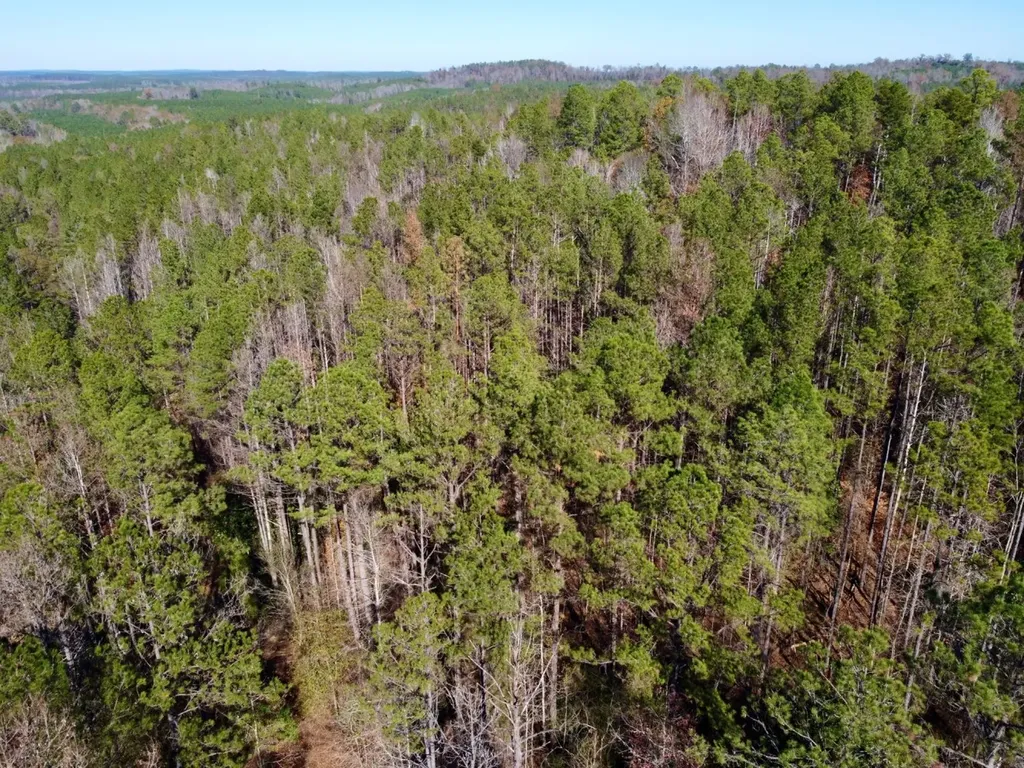 0 County Road 42 Tunnel Springs AL 36471