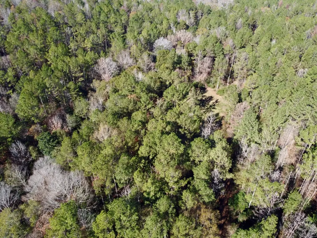 0 County Road 42 Tunnel Springs AL 36471