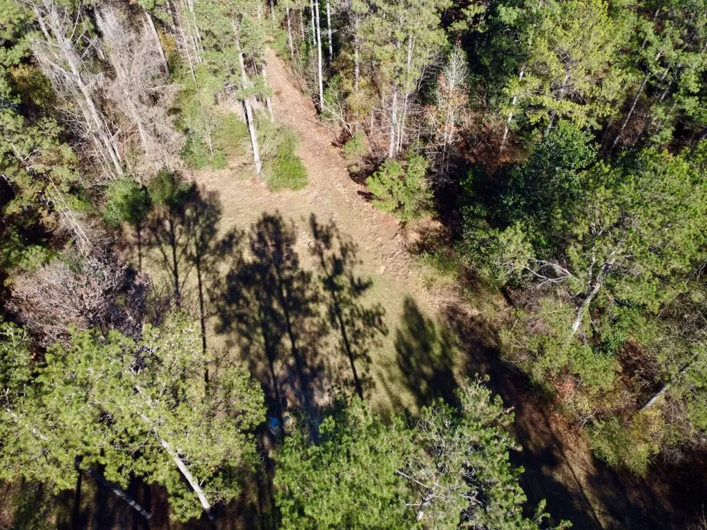 0 County Road 42 Tunnel Springs AL 36471