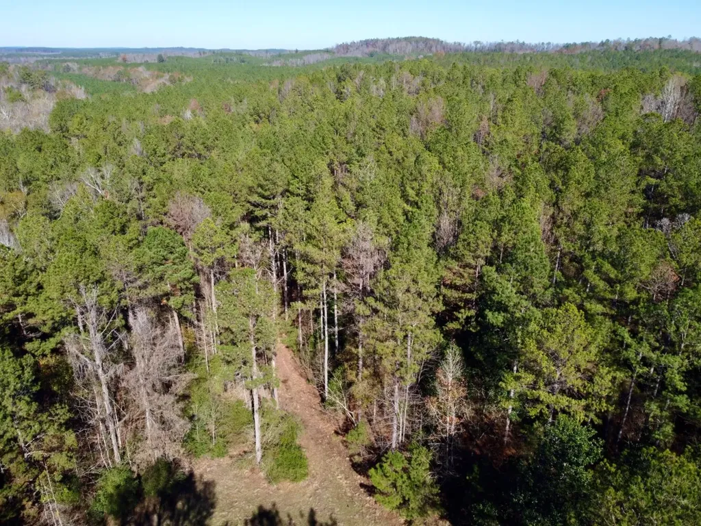0 County Road 42 Tunnel Springs AL 36471