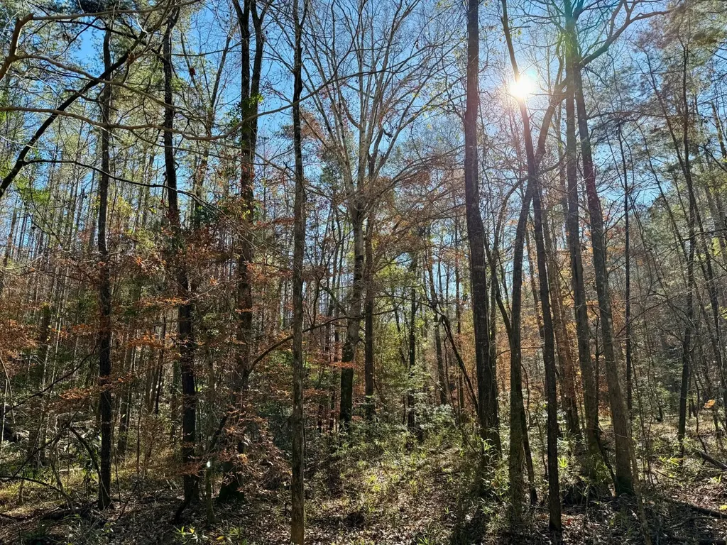 0 County Road 42 Tunnel Springs AL 36471