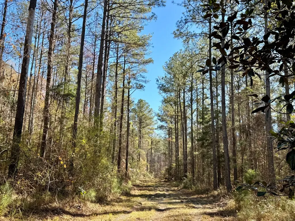 0 County Road 42 Tunnel Springs AL 36471