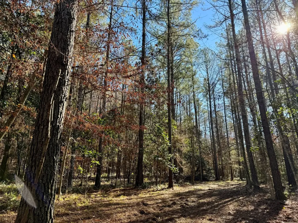 0 County Road 42 Tunnel Springs AL 36471