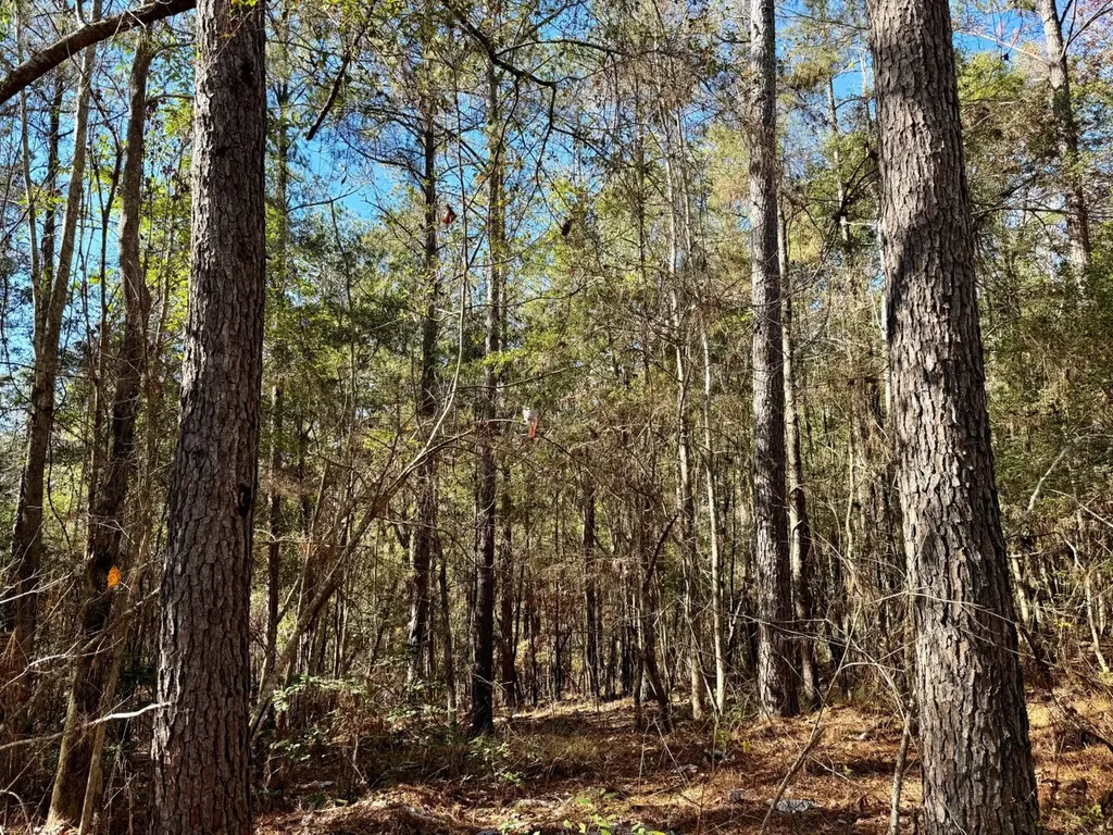 0 County Road 42 Tunnel Springs AL 36471