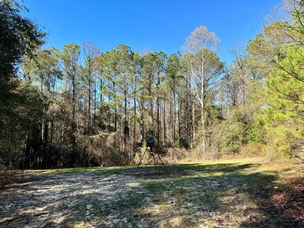 0 County Road 42 Tunnel Springs AL 36471