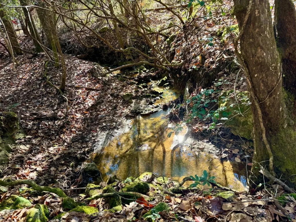 0 County Road 42 Tunnel Springs AL 36471