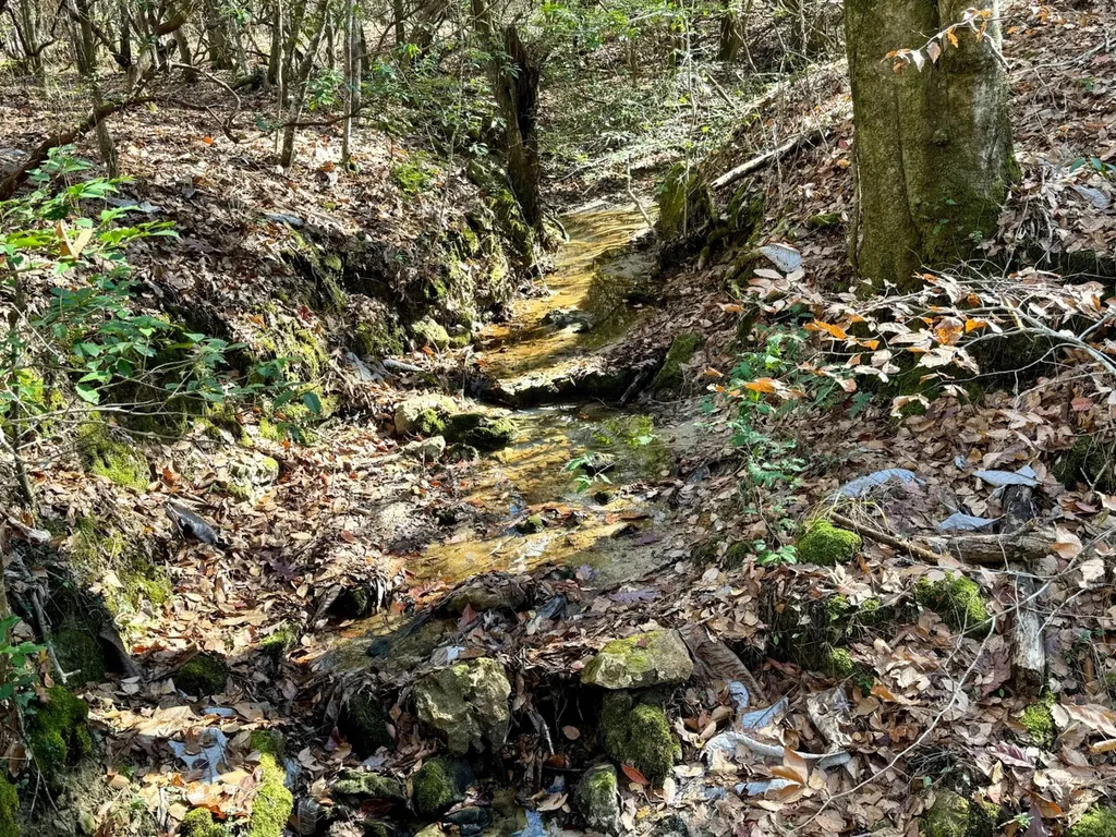 0 County Road 42 Tunnel Springs AL 36471